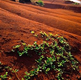 《火焰纹章 结合》“艾比”预告 明年1月20日发售